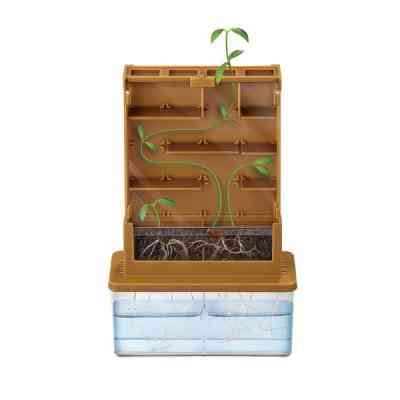 Набор для экспериментов 4М для исследований Растительный лабиринт (00-03352) Винница