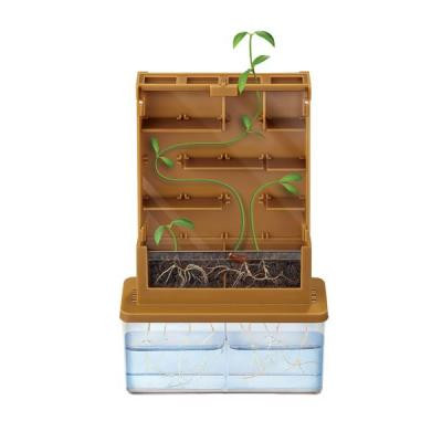 Набор для экспериментов 4М для исследований Растительный лабиринт (00-03352) Винница - изображение 3