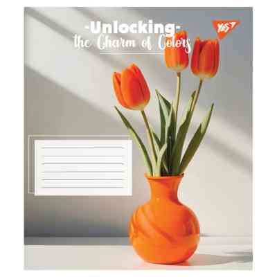 Зошит Yes Charm of Colors А5 96 аркушів лінія (767980) Вінниця