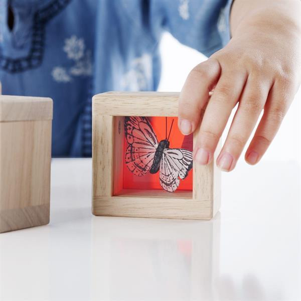 Набір Guidecraft Natural Play Скарби у кольорових ящиках (G3085) Харьков - изображение 10