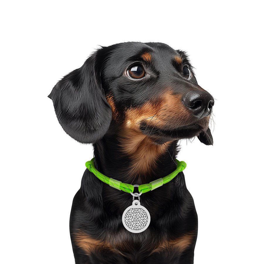 Шнурок для адресника з паракорду WAUDOG Smart ID, світловідбиваючий, розмір S, діаметр 4 мм, довжина 25-45 см салатовий Київ - фото 2