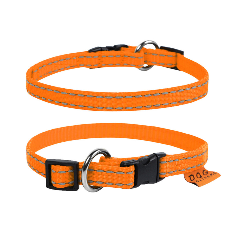 Coastal Pet Attire Styles КОСТАЛ СТАЙЛС поводок для собак, 2смХ1.2м Киев - изображение 2