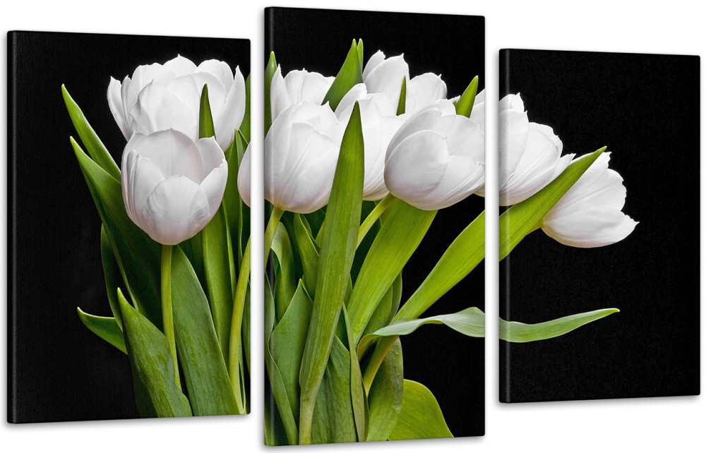 Модульна картина Квіти Тюльпани (53х100см) Art-86_3 Київ - фото 1