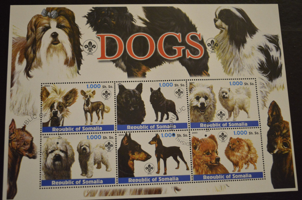 Сомалі. Фауна. Тварини. 2003 рік Полтава - фото 1