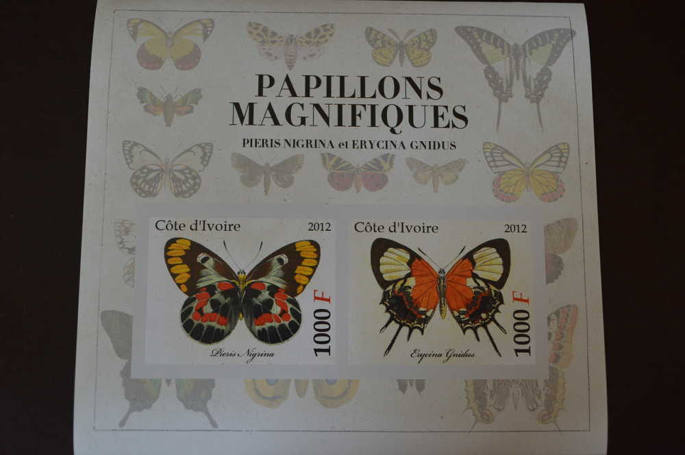 Марки. Фауна. Блок. 2010 рік (А-31) Полтава - изображение 1