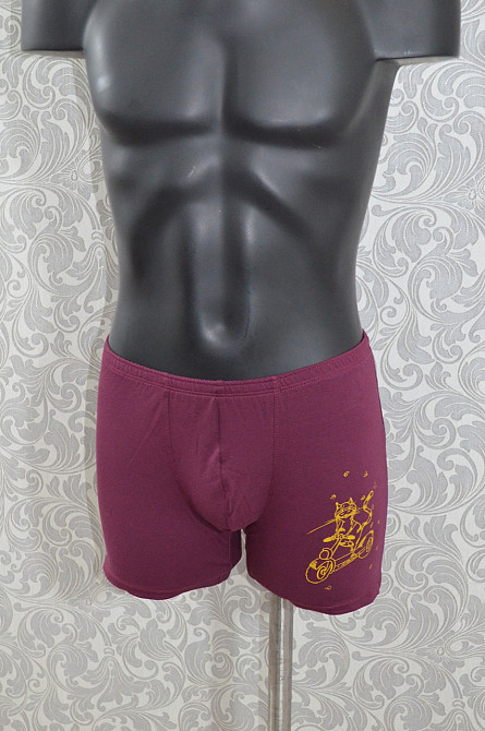 Труси чоловічі шорти Lans 06/014 Київ - фото 3