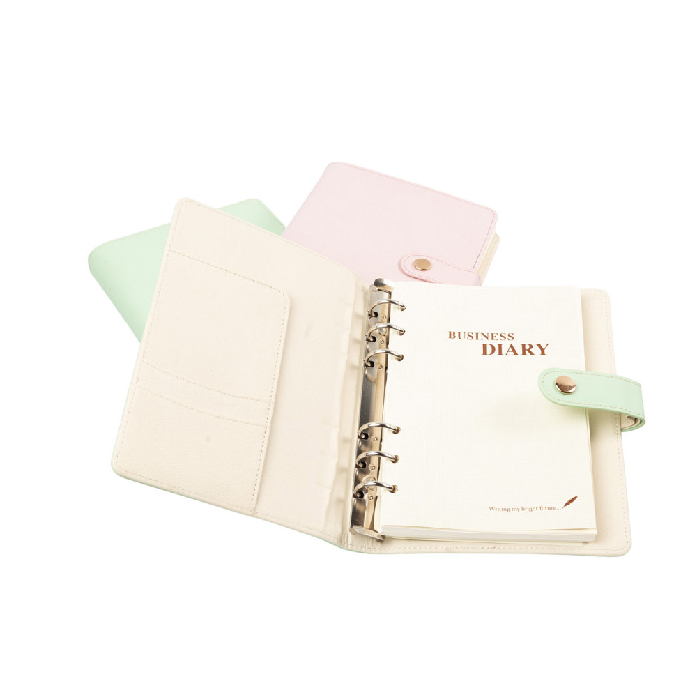 Планер, щоденник, блокнот на кільцях А6 Кам'янець-Подільський - фото 6