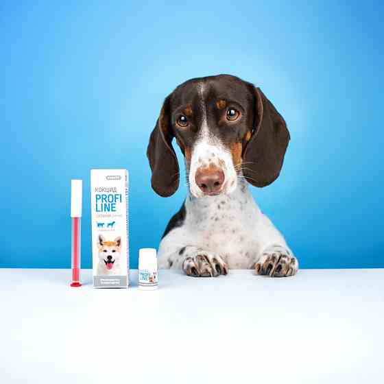 Суспензия ProVet Profiline Кокцид для кошек и собак, 5.0 мл (антигельминтик) Винница