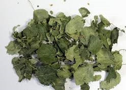 Береза (лист), 500г. MasterSEM Киев - изображение 1