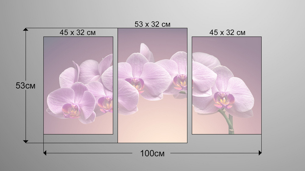 Модульная картина Цветы Орхидея Art-111_3 Киев - изображение 3