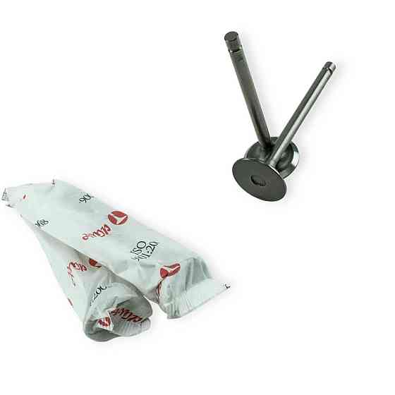 Клапана AMP впуск (PLAD001) Азот 2101 Мукачево