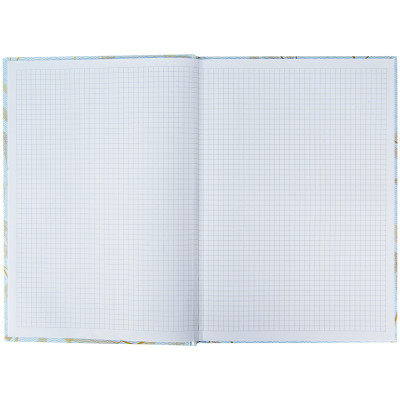 Канцелярская книга Axent Waves А4, 96 листов, ячейка, голубая (8422-560-A) Винница - изображение 2