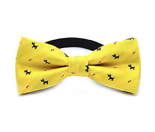 Бабочка для мальчика детская Киев - изображение 1