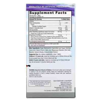 Вітамінно-мінеральний комплекс Nature&apos;s Answer Чорна бузина для дітей з вітаміном С та цинком, Kid&apos;s Sambucus (NTA-26269) Вінниця