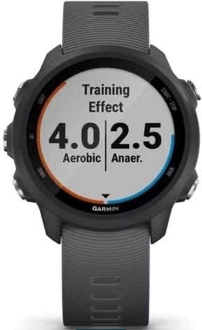 Garmin Forerunner 245 Gray. Київ - фото 3