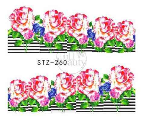 Наклейки для ногтей STZ-260 Киев