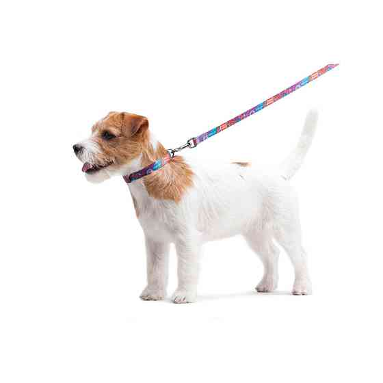 Повідець для собак нейлоновий WAUDOG Nylon, малюнок "Літо" , Ш 15 мм, Дов 122 см Коломыя