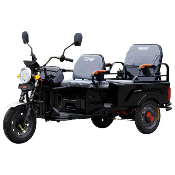 Електричний трицикл із кузовом Corso Hardy-10 S 1200W-60V-38Ah шини 12"/12" купити Aba-Opt дешево в Україні Одеса