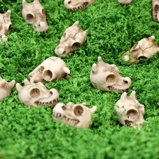 Набор «Черепа дракона» из смолы – 10 штук для декора Киев