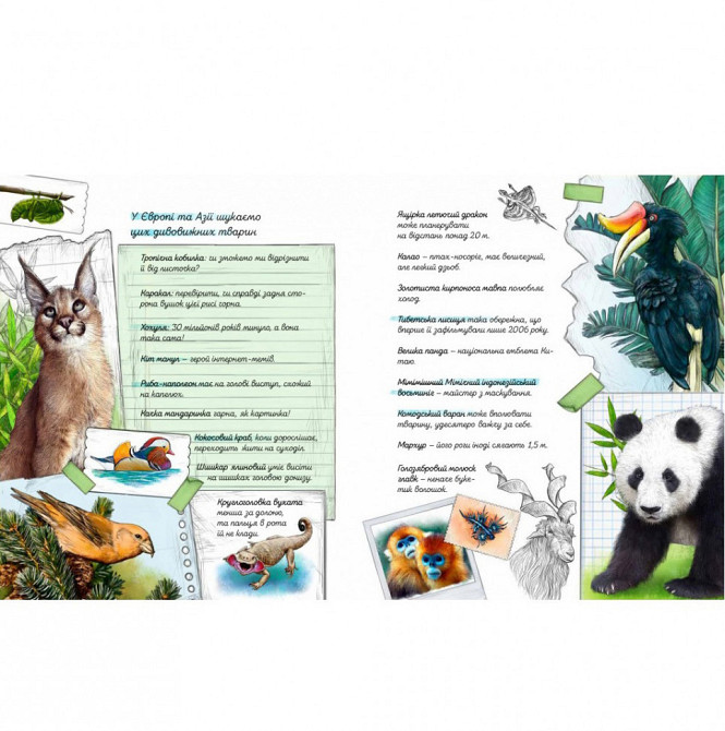Книга "Експедиція за дивовижними тваринами" 152961 Вінниця - фото 7