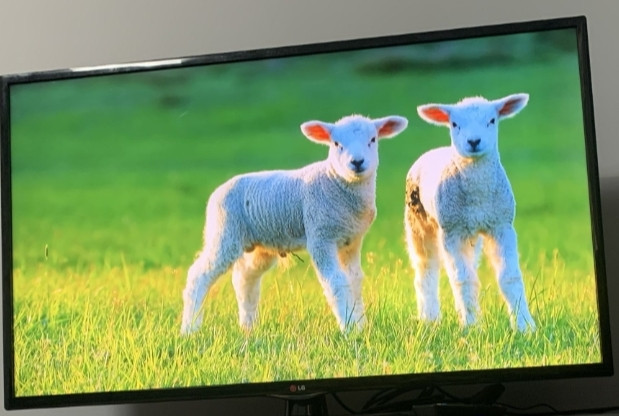 Телевизор LG 50