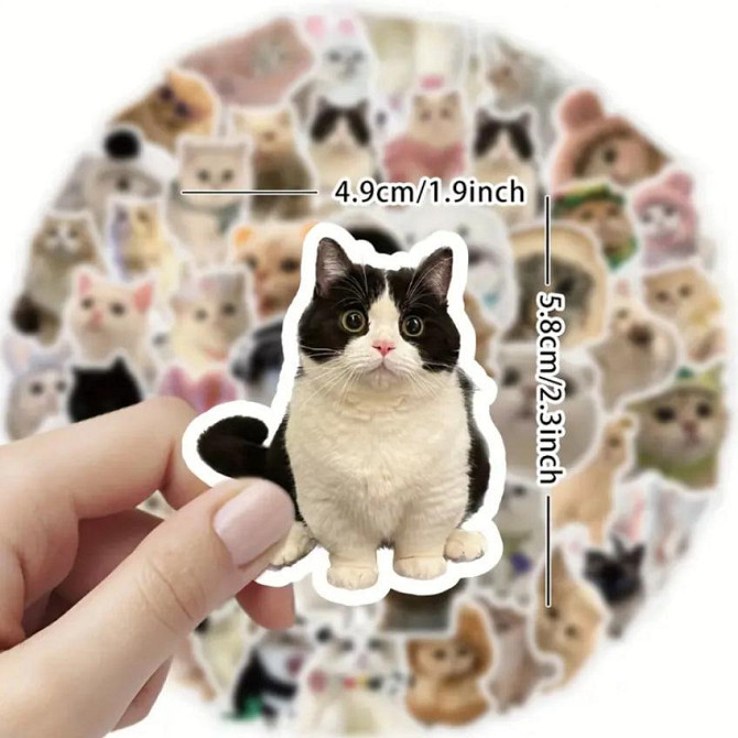 Стикеры с котами. Водонепроницаемые виниловые эстетические наклейки, набор 60 штук. Киев - изображение 2