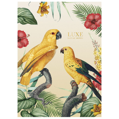 Зошит Школярик А4 Student лінія 40 аркушів (A4-040-548L) Вінниця - фото 1