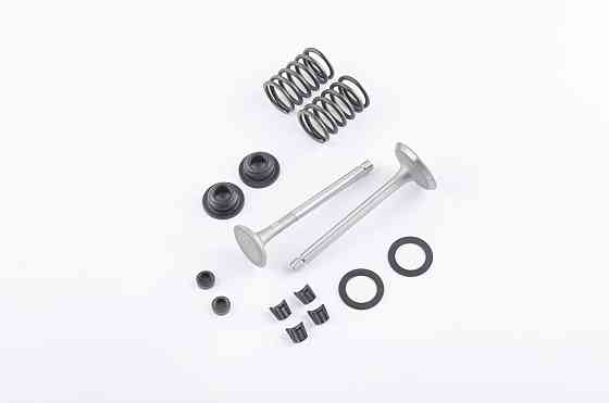 Клапаны (пара, в сборе) мотоблок 186F Мукачево