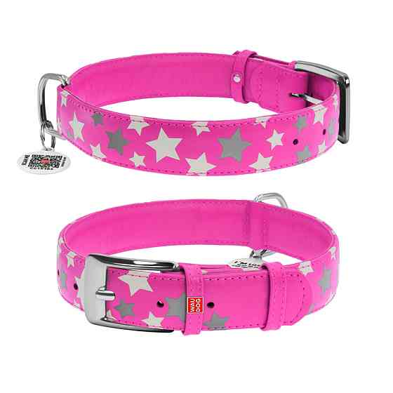 Coastal TOO! Jazzy Jewel КОСТАЛ шкіряний нашийник для собак Київ