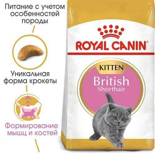 Royal Canin British Shorthair Kitten (Роял Канін Кіттен британська короткошерста) сухий корм для кошенят Запоріжжя