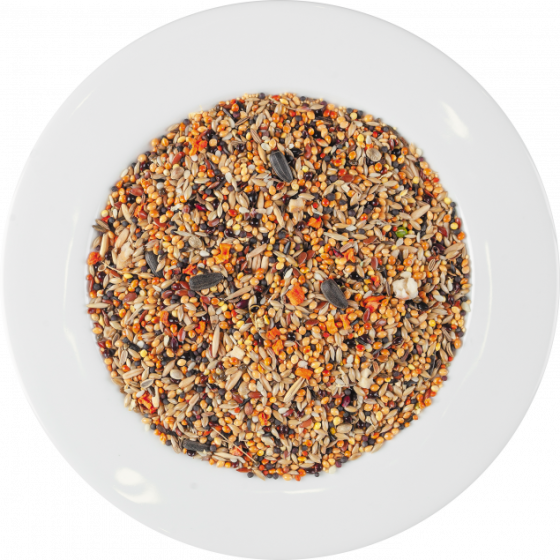 Полнорационный корм Special One корм для экзотических птиц, 500 г Винница