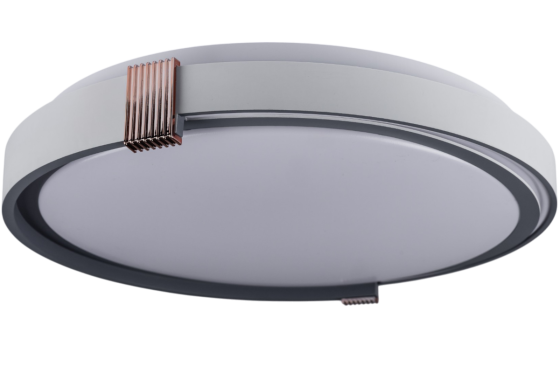 COLISEUM матовий 60W 395*60мм 3000К-6500К з ДК білий з синім Днепр