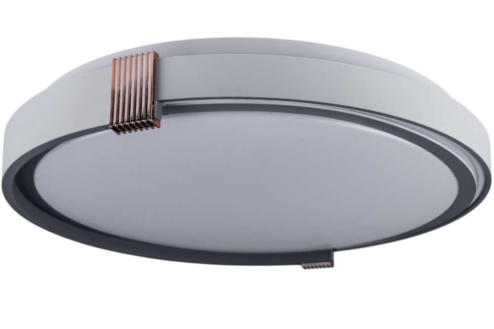 COLISEUM матовий 60W 395*60мм 3000К-6500К з ДК білий з синім Днепр - изображение 1