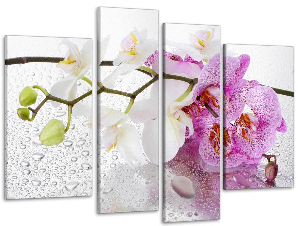 Модульна картина Квіти Орхідея Art-9_4 Київ - фото 1