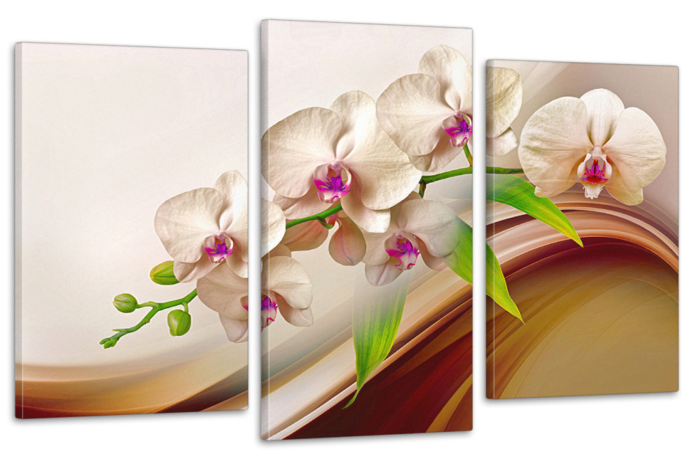 Модульная картина в гостиную / спальню  Орхідея Art-682_3 70x130 см Київ - фото 1