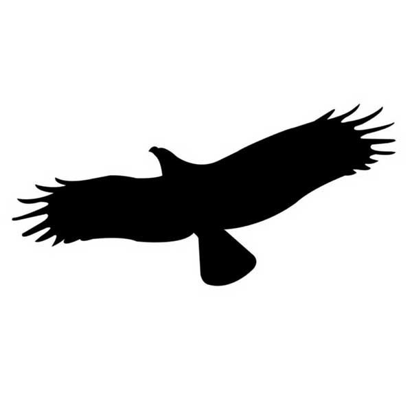 Наклейка на скло для відлякування птахів Дніпро - фото 1