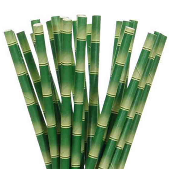 Коктейльні трубочки з принтом бамбука 25 штук 20 см зелений Київ