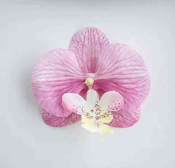 Затискач для волосся Орхідея Рожевий Сміла