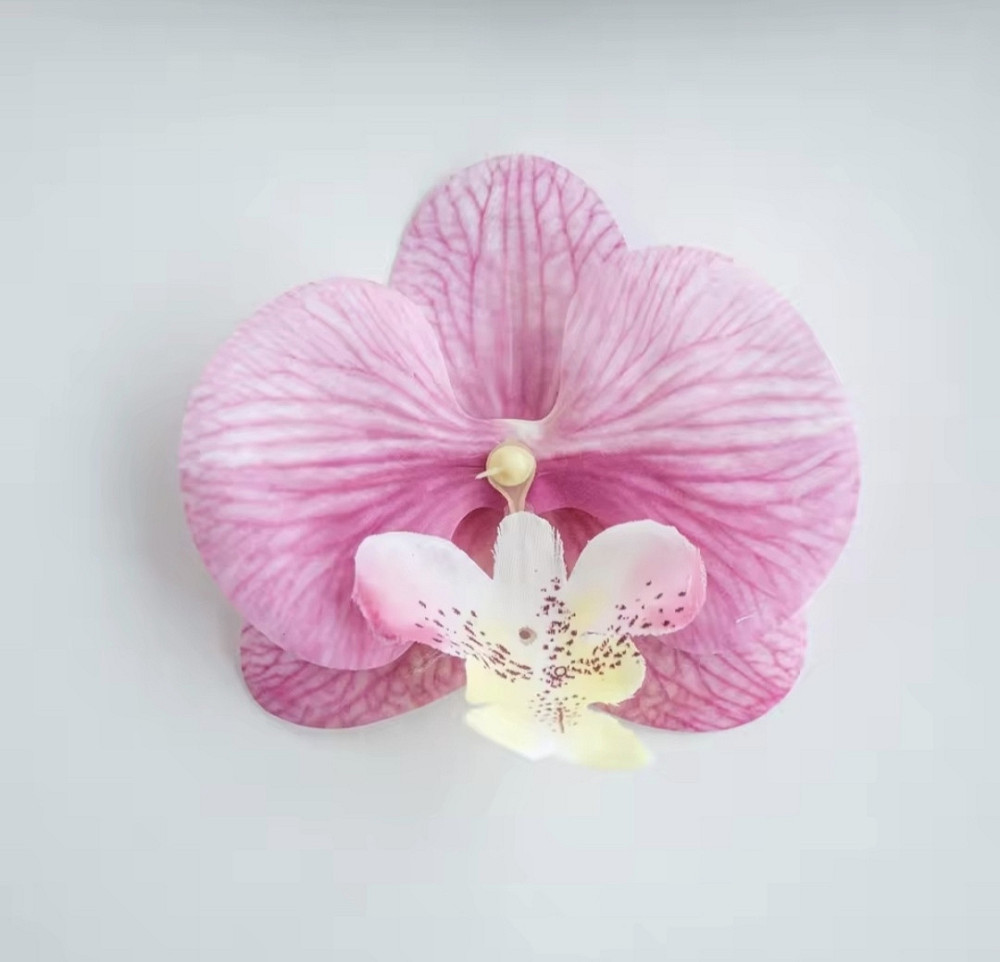 Затискач для волосся Орхідея Рожевий Сміла - фото 1