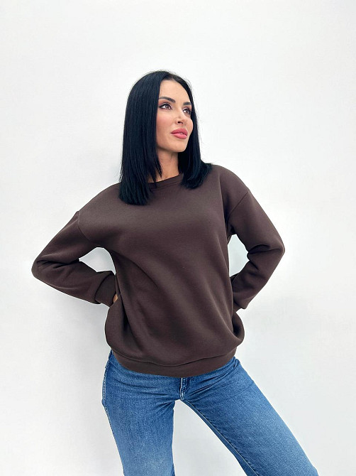 Жіночий теплий батник "Wear" Турція оптом | Норма і батал Шоколадний, 50-52 Київ - фото 1