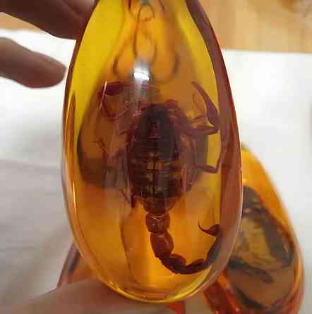 Скорпион в янтаре 5.5*4 см янтарный камень с насекомым, инклюзы в янтаре, имитация янтаря Киев