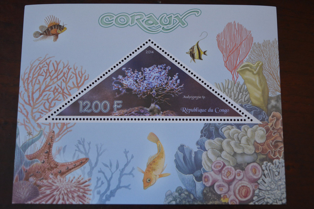 Конго. Фауна. Личности. Блок. 2014 р. (А-34) Полтава - фото 1