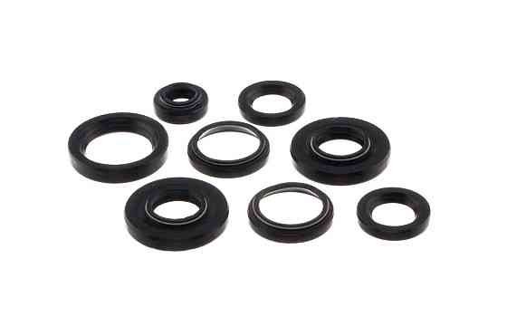 Сальники (набір) мотоцикл Іж Планета (8шт) Мукачево