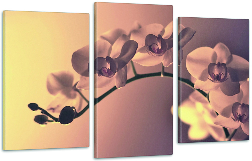 Модульная картина Орхидея  Art-1_3 Киев - изображение 1