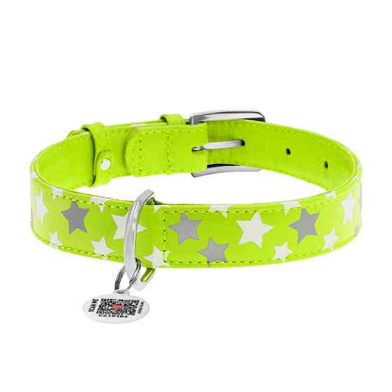 Нашийник для собак шкіряний WAUDOG Glamour з QR паспортом, візерунок "Зірочка", світлонакопичув Коломыя