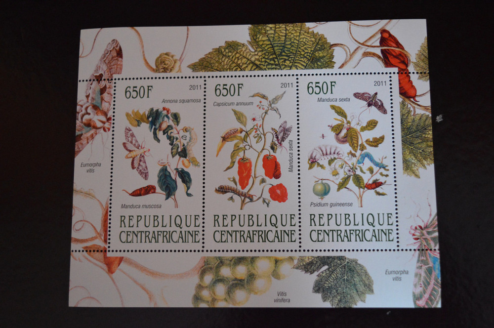 Центральноафриканская Республика. Фауна. 2011 год Полтава - изображение 1