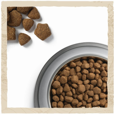 Сухой корм для собак Purina Dog Chow Adult Large Breed со вкусом индейки 14 кг (7613034487926) Винница - изображение 5