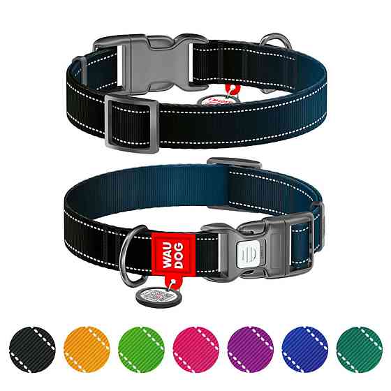 Coastal Fashion Safe Cat Collar КОСТАЛ светящийся безопасный ошейник для котов Киев