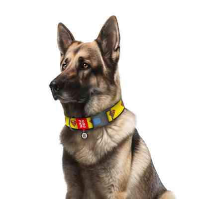Ошейник для животных WAUDOG Nylon с QR паспортом "Супермен 2" пластиковый фастекс М (0020-2014) Винница