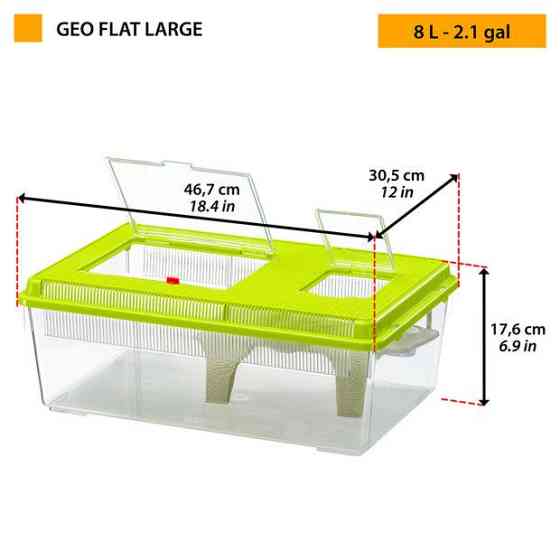 Контейнер для дрібних риб, черепах і комах Ferplast Geo Flat (Ферпласт Гео Флат) 46.7 x 30.5 x h 17.5 cм - 8 LARGE (Зелений) Запоріжжя